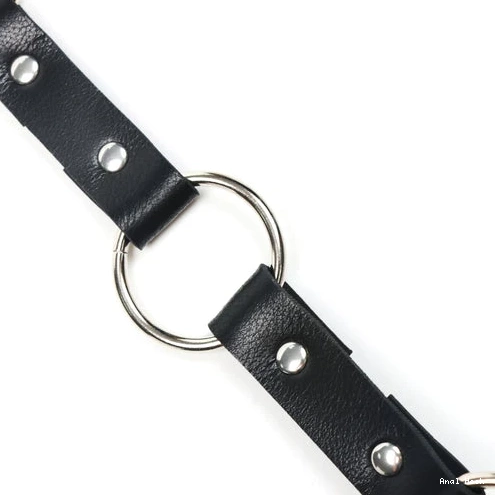 Anal Collar Leash Kinky and Hook with 5853 EverydayUse 0629